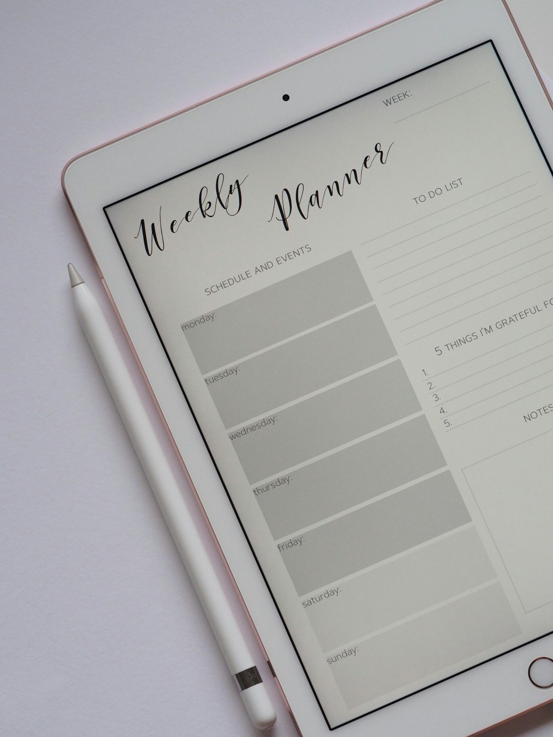 Weekly planner on a tablet with Apple Pencil for household management coaching
